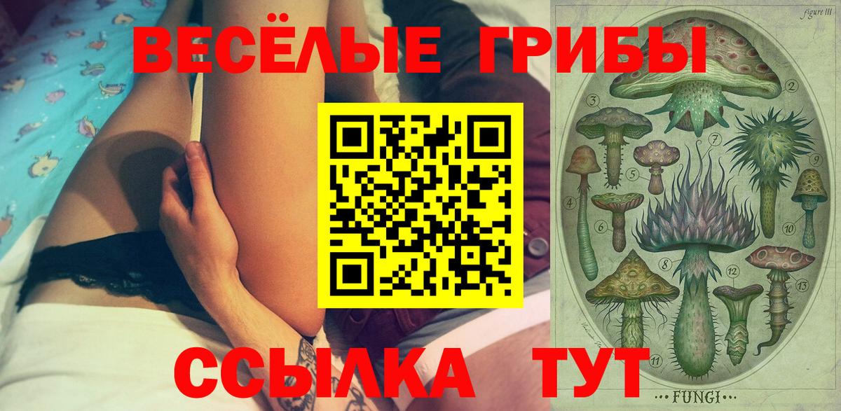 Псилоцибиновые грибы Psilocybe  Вход с VPN  Альметьевск 